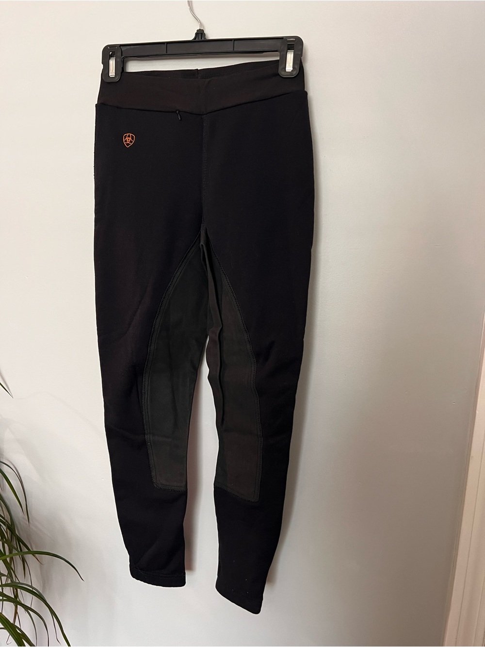 ariat insulated riding pants